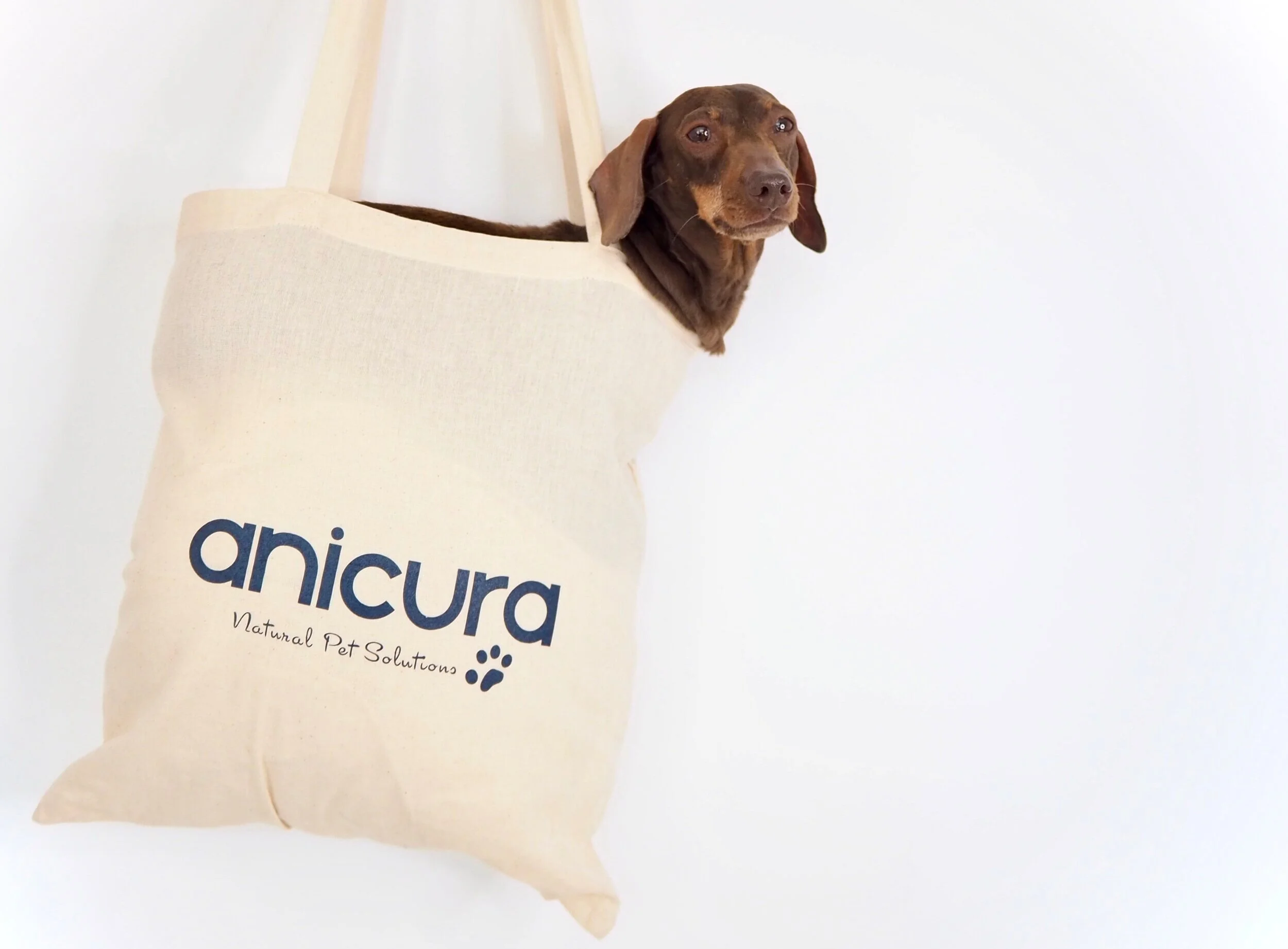 Anicura natural sales pet solutions